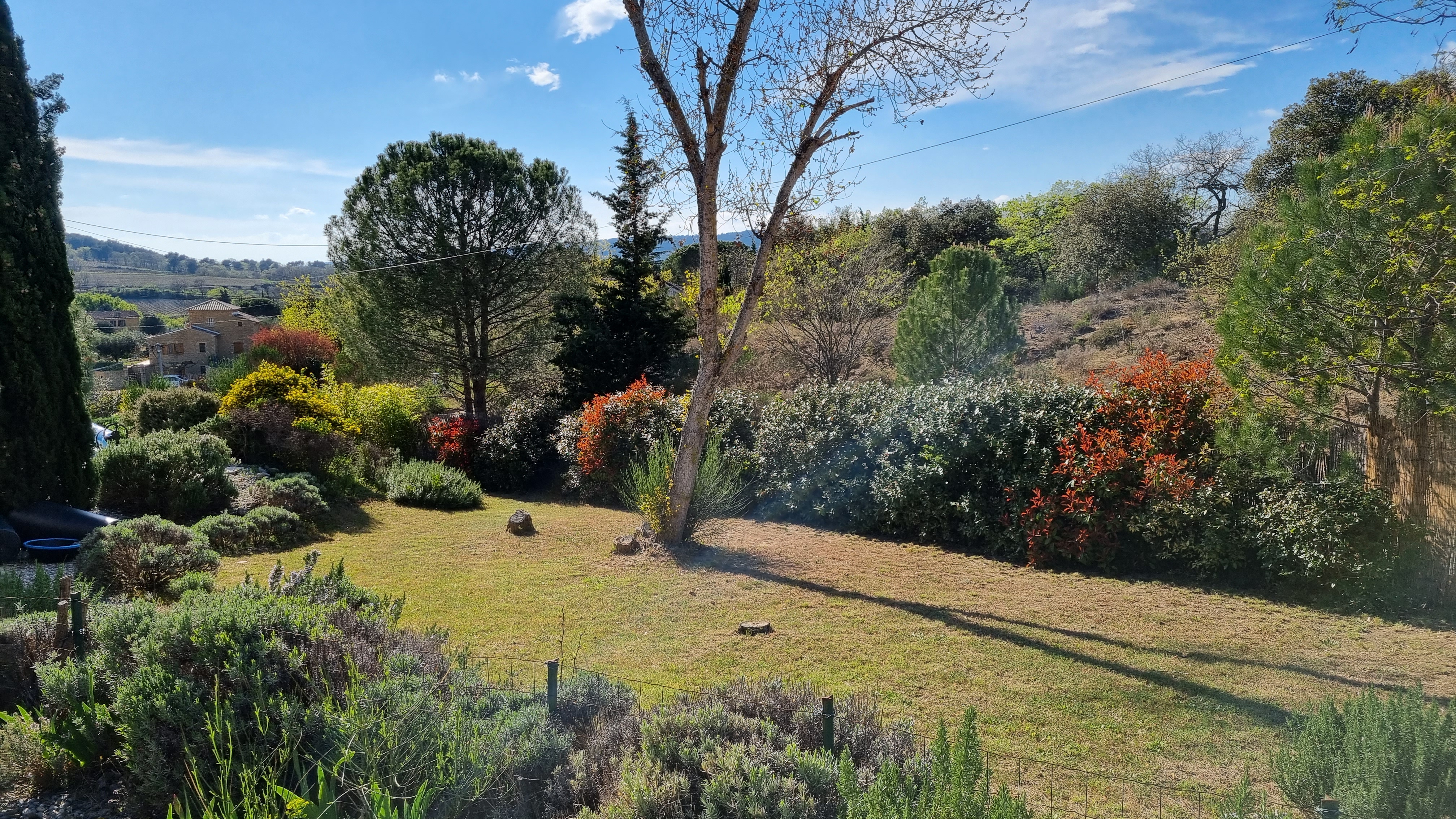 Side garden